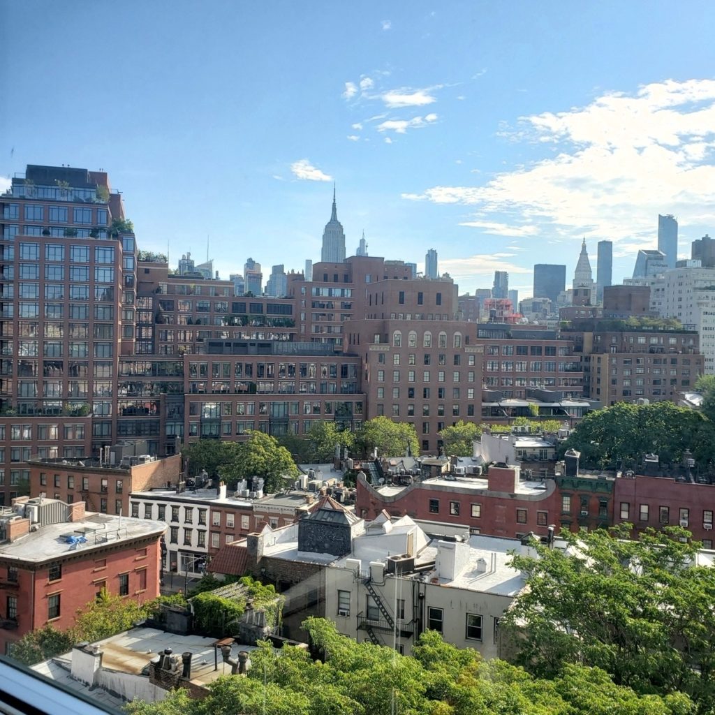 West village views